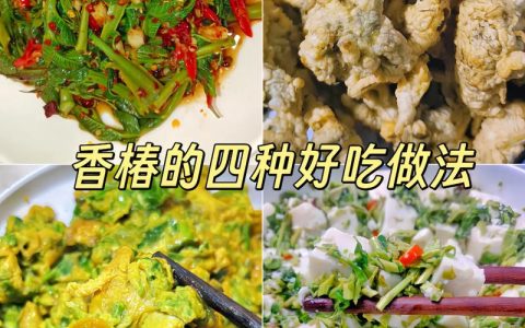 女性吃香椿的好处：营养解析与食用安全指南