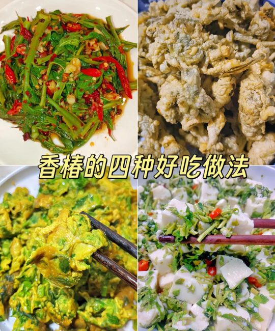 女性吃香椿的好处：营养解析与食用安全指南