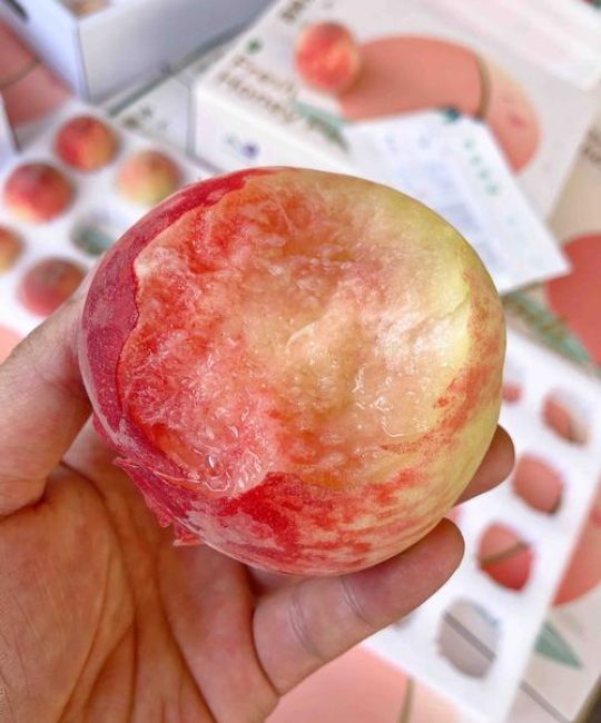 2026年目前最火的桃子品种对比：中油桃、油蟠桃、水蜜桃怎么选？
