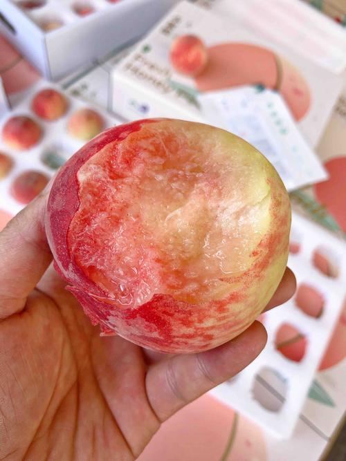 2026年目前最火的桃子品种对比:中油桃、油蟠桃、水蜜桃怎么选? 2026年目前最火的桃子品种对比:中油桃、油蟠桃、水蜜桃怎么选?
