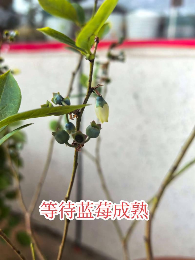 总结