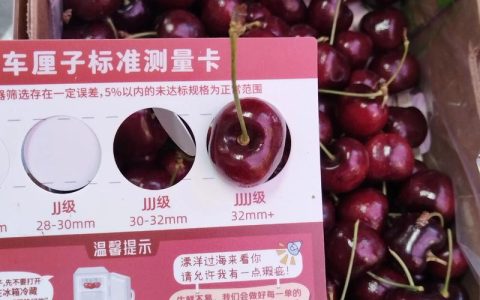 拉宾斯大樱桃品种介绍：抗寒丰产优质品种
