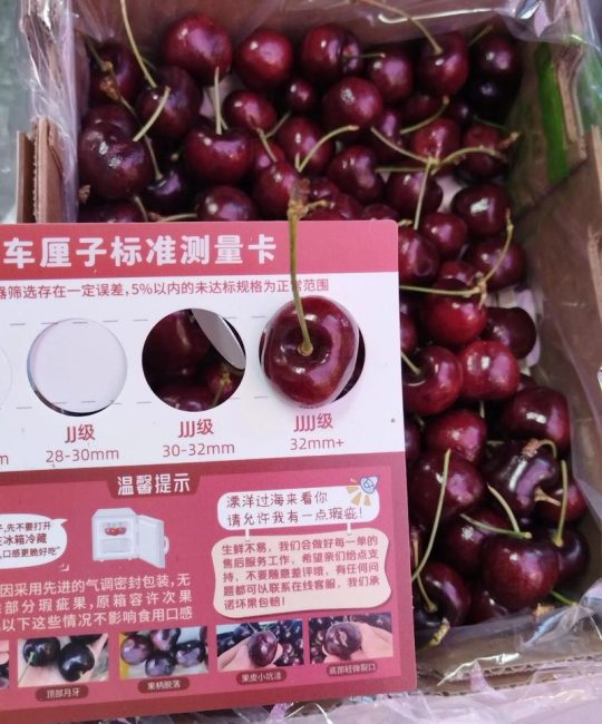 拉宾斯大樱桃品种介绍：抗寒丰产优质品种