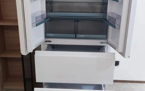 海尔山茶花最建议买的三款：花色、花期与养护全解析