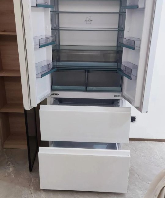 海尔山茶花最建议买的三款：花色、花期与养护全解析