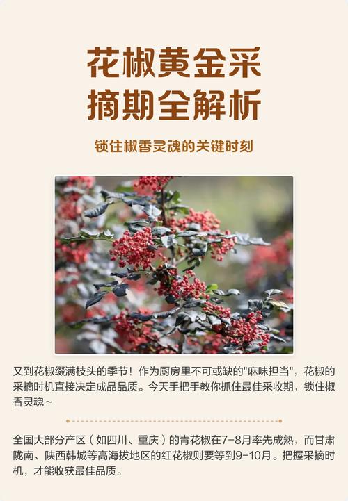 常见问题解答（FAQ）