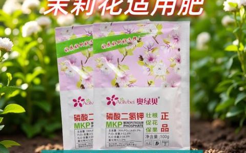 茉莉花施什么肥好？四季精准施肥指南与高效配方