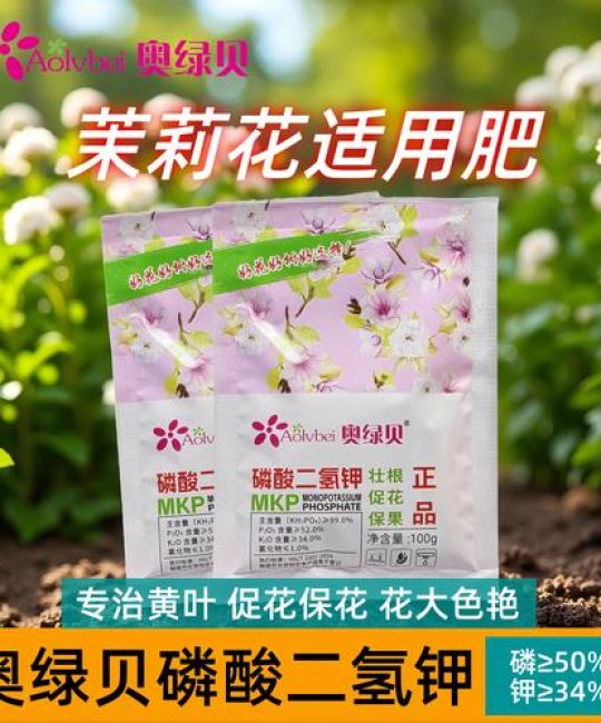 茉莉花施什么肥好？四季精准施肥指南与高效配方