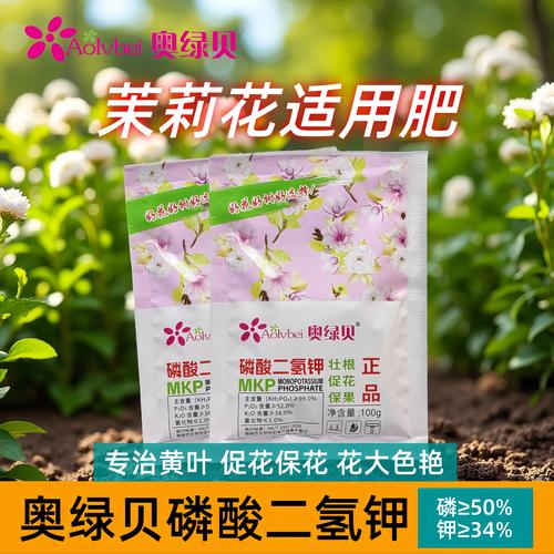 茉莉花施什么肥好?四季精准施肥指南与高效配方 茉莉花施什么肥好?四季精准施肥指南与高效配方