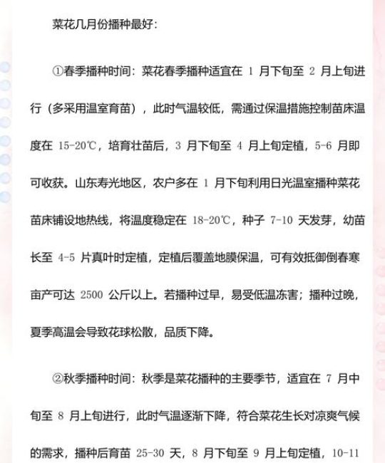 菜花什么时候育苗最好？四季种植时间表与育苗管理全指南