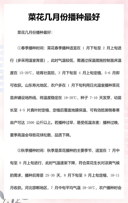 菜花什么时候育苗最好?四季种植时间表与育苗管理全指南 菜花什么时候育苗最好?四季种植时间表与育苗管理全指南