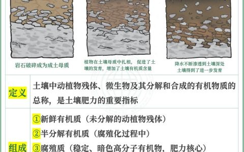 酸性土壤和碱性土壤怎么区别？家庭园艺实用鉴别指南