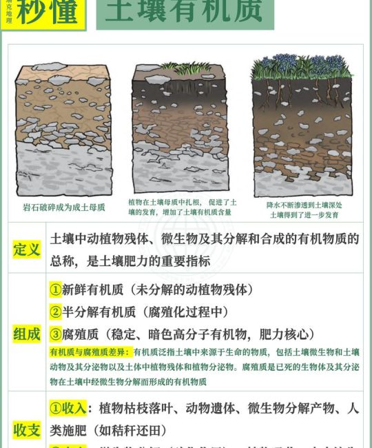 酸性土壤和碱性土壤怎么区别？家庭园艺实用鉴别指南