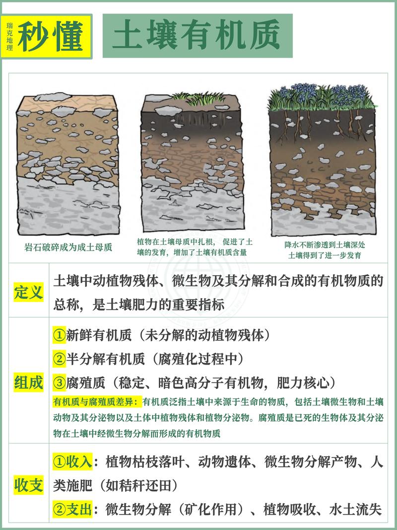 酸性土壤和碱性土壤怎么区别？家庭园艺实用鉴别指南