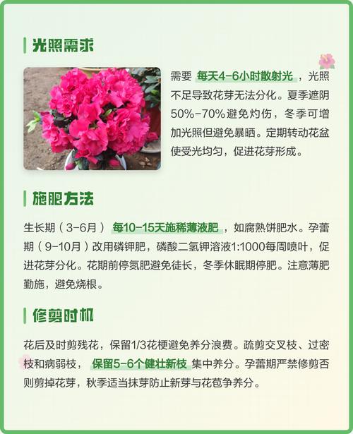处理办法与操作参数