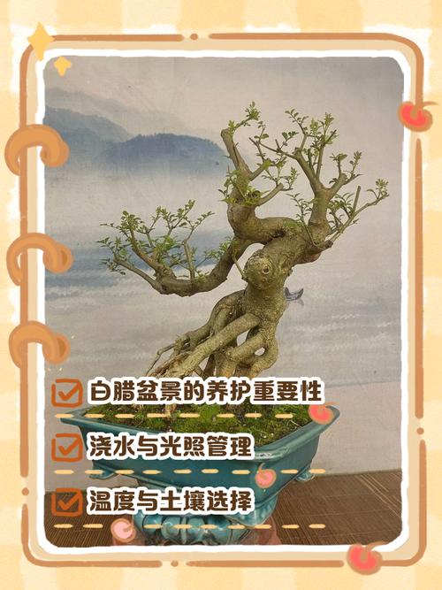 常见种植误区与FAQ