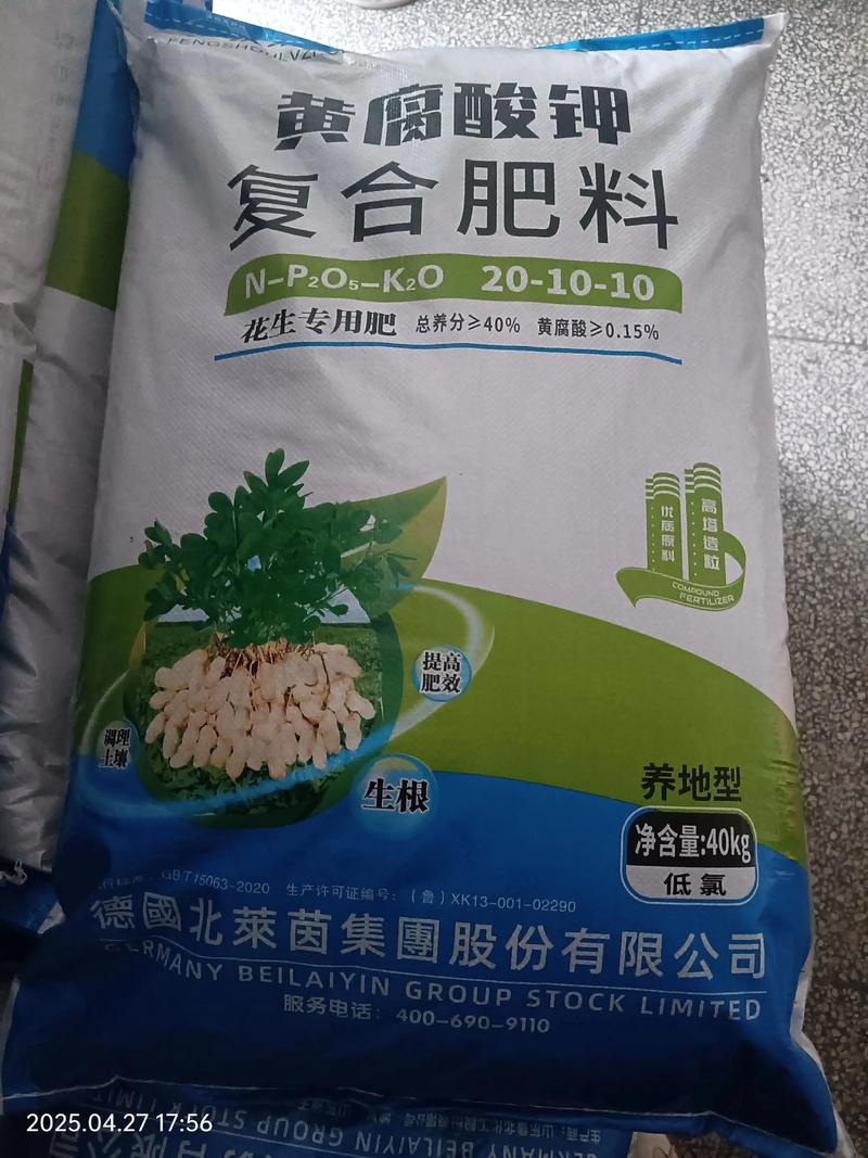 花生高产施肥与田间管理全指南：从底肥到收获的实操策略