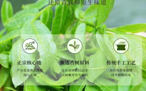 青钱柳茶多少钱一斤 价格受哪些因素影响