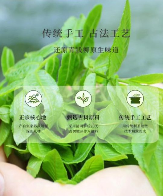 青钱柳茶多少钱一斤 价格受哪些因素影响