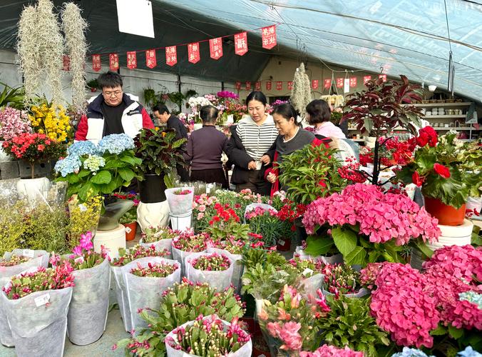 如何找到附近花卉市场批发市场：苗木采购渠道评估指南
