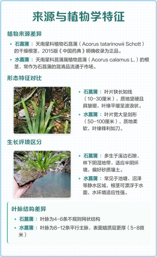 石菖蒲和菖蒲的区别 习性参数量化:生长环境差异