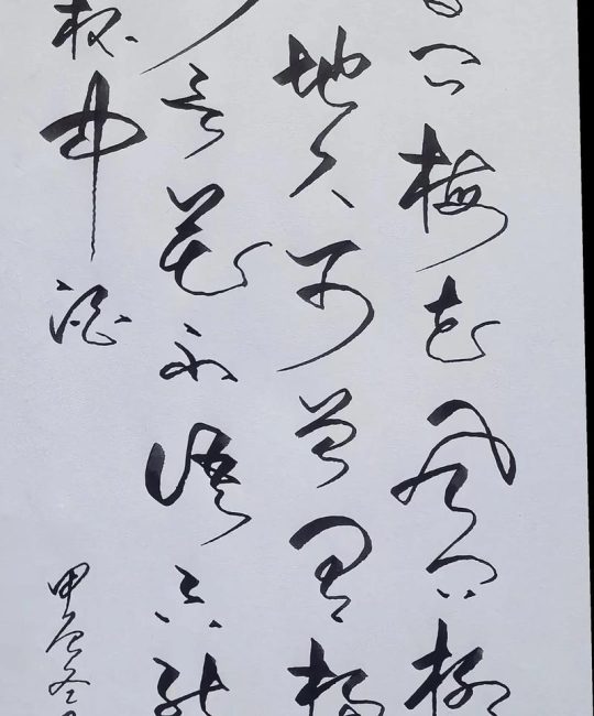 雪问梅花风问柳全诗原文与赏析：解读春日意象与植物养护