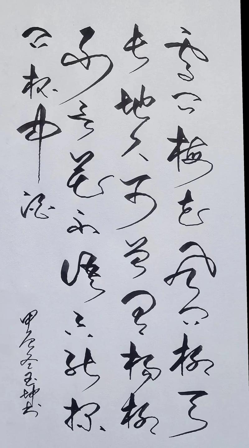 雪问梅花风问柳全诗原文与赏析：解读春日意象与植物养护
