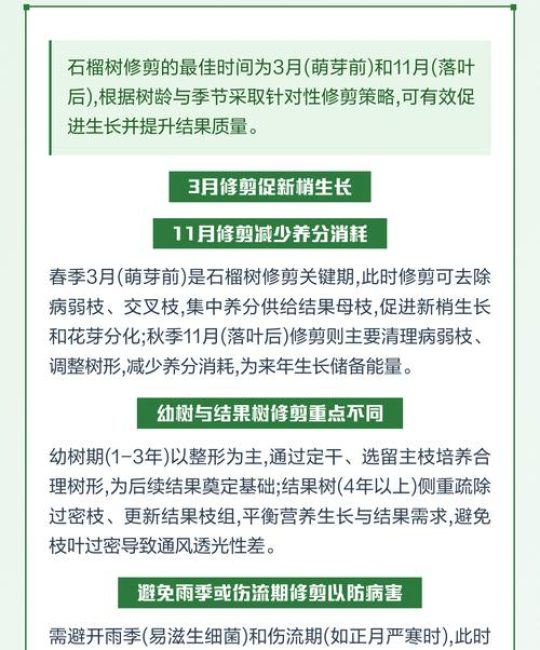 石榴树修剪最佳时间及方法：冬剪定形，夏剪促花
