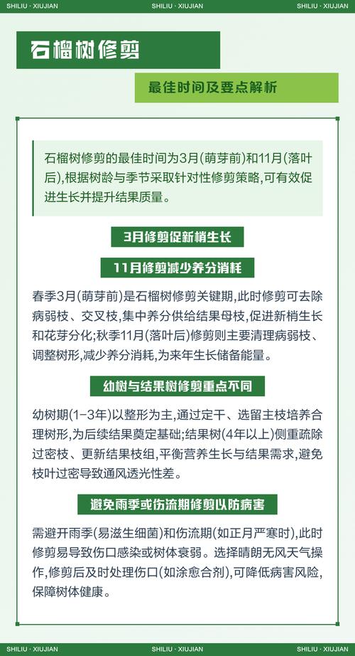 石榴树修剪最佳时间及方法:冬剪定形,夏剪促花 石榴树修剪最佳时间及方法:冬剪定形,夏剪促花