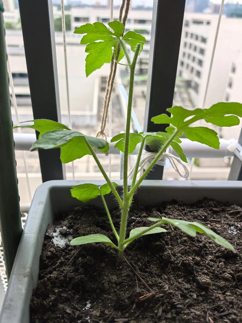 六、结果与收获管理