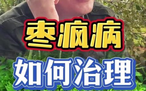 枣树疯病怎么治？揭秘土方子背后的真相与科学防治
