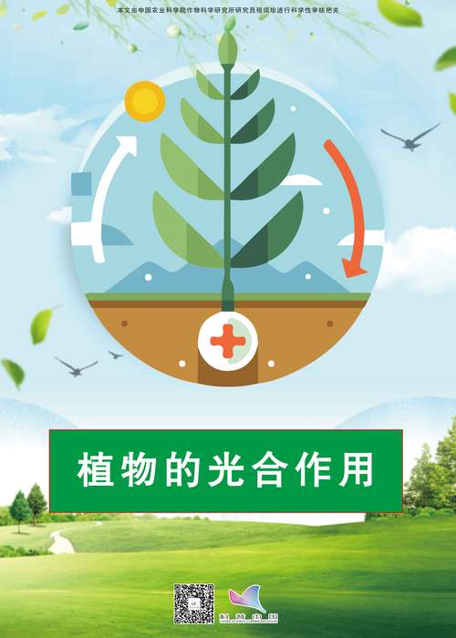 光对植物生长起着什么作用?药食同源植物的光照管理指南 光对植物生长起着什么作用?药食同源植物的光照管理指南