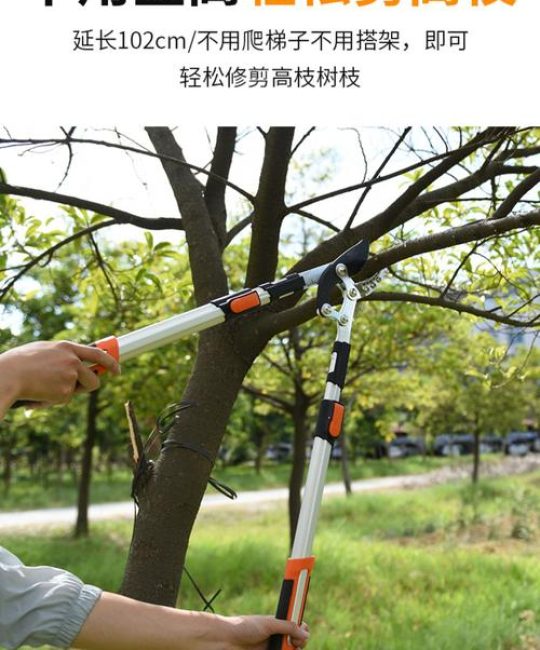 修剪果树的剪刀哪一款最好？家庭园艺与专业种植剪刀选购指南