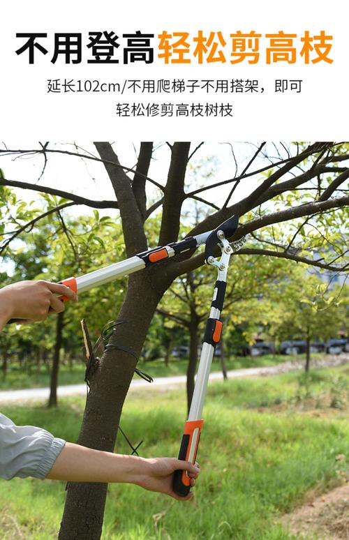 修剪果树的剪刀哪一款最好?家庭园艺与专业种植剪刀选购指南 修剪果树的剪刀哪一款最好?家庭园艺与专业种植剪刀选购指南