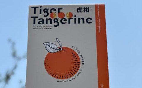 虎柑与沃柑的区别：品种特性、种植与选购全指南