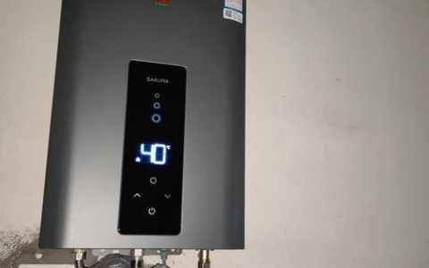 三角梅樱花SP601A品种特性及家庭养护全指南