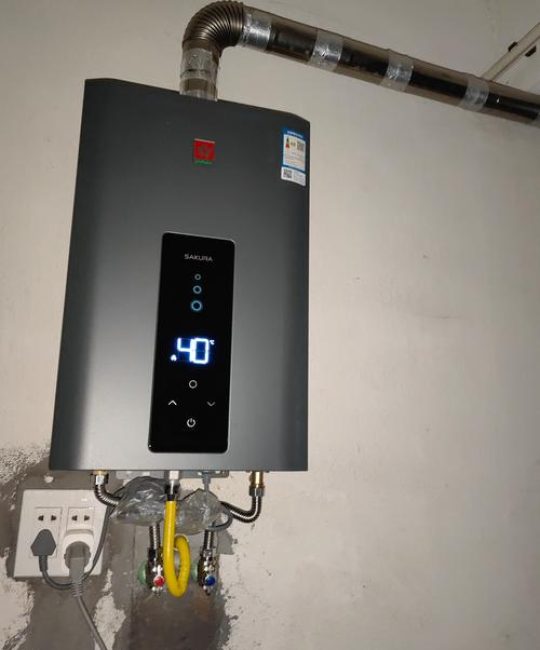 三角梅樱花SP601A品种特性及家庭养护全指南