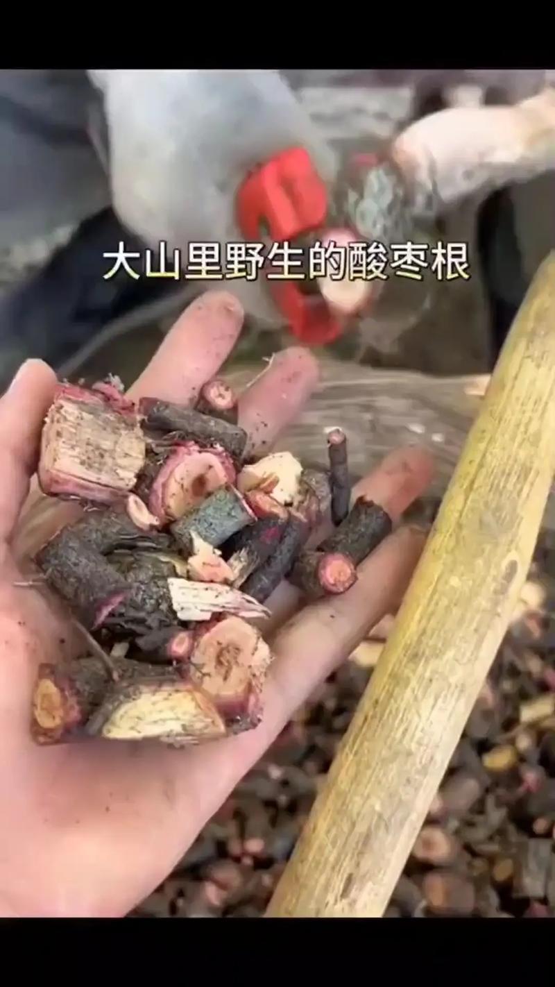 注意事项