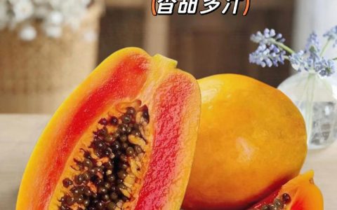 木瓜什么时候吃最好？掌握最佳食用时间与功效禁忌