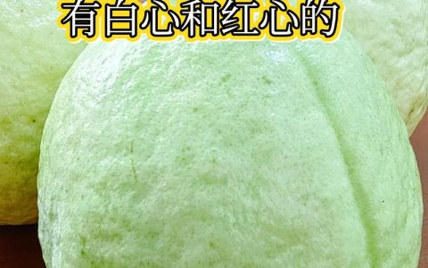 番石榴和石榴有什么区别？6维度详细对比与选购种植指南