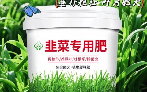 韭菜施肥用什么肥料最好？家庭种植全攻略