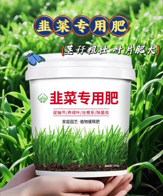 韭菜施肥用什么肥料最好？家庭种植全攻略