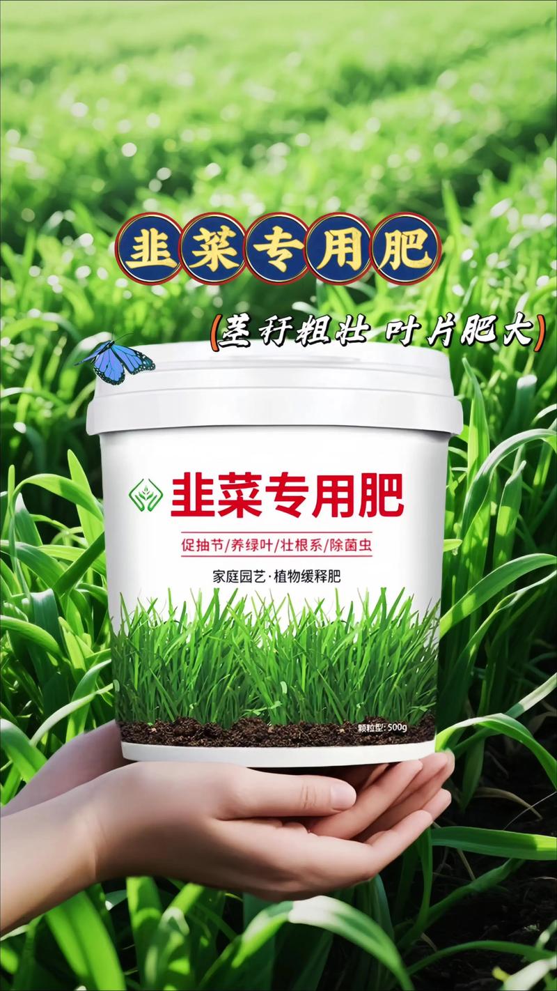 韭菜施肥用什么肥料最好?家庭种植全攻略 韭菜施肥用什么肥料最好?家庭种植全攻略