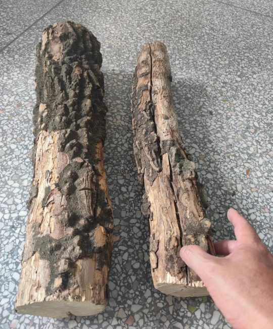 花椒木手串对人有什么好处？佩戴注意事项与鉴别指南