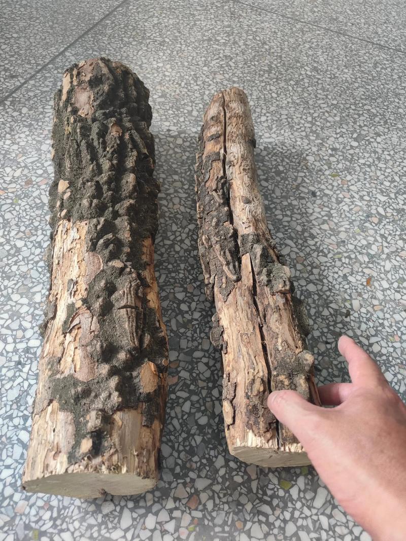 花椒木手串对人有什么好处?佩戴注意事项与鉴别指南 花椒木手串对人有什么好处?佩戴注意事项与鉴别指南