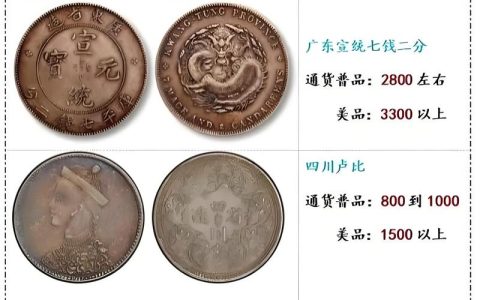 袁大头十年银币价格一览表：品相与版别如何影响报价