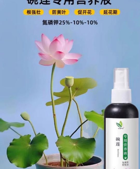 睡莲施肥指南：水生植物专用肥与缓释颗粒的最佳选择
