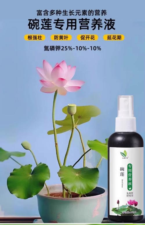 睡莲施肥指南:水生植物专用肥与缓释颗粒的最佳选择 睡莲施肥指南:水生植物专用肥与缓释颗粒的最佳选择