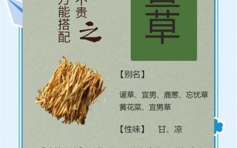 萱草花（黄花菜）的功效与作用：食用安全指南与禁忌
