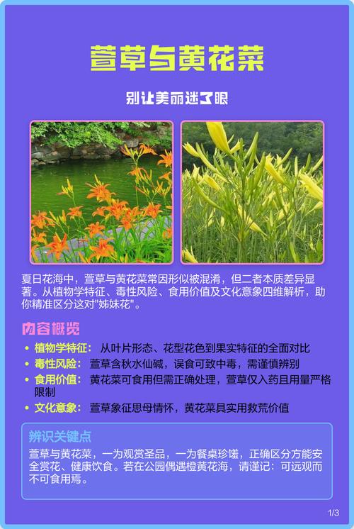 6. 总结与警示
